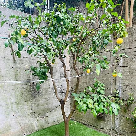 Lemon Tree Resort - Freeparking - Garden جنوة المظهر الخارجي الصورة